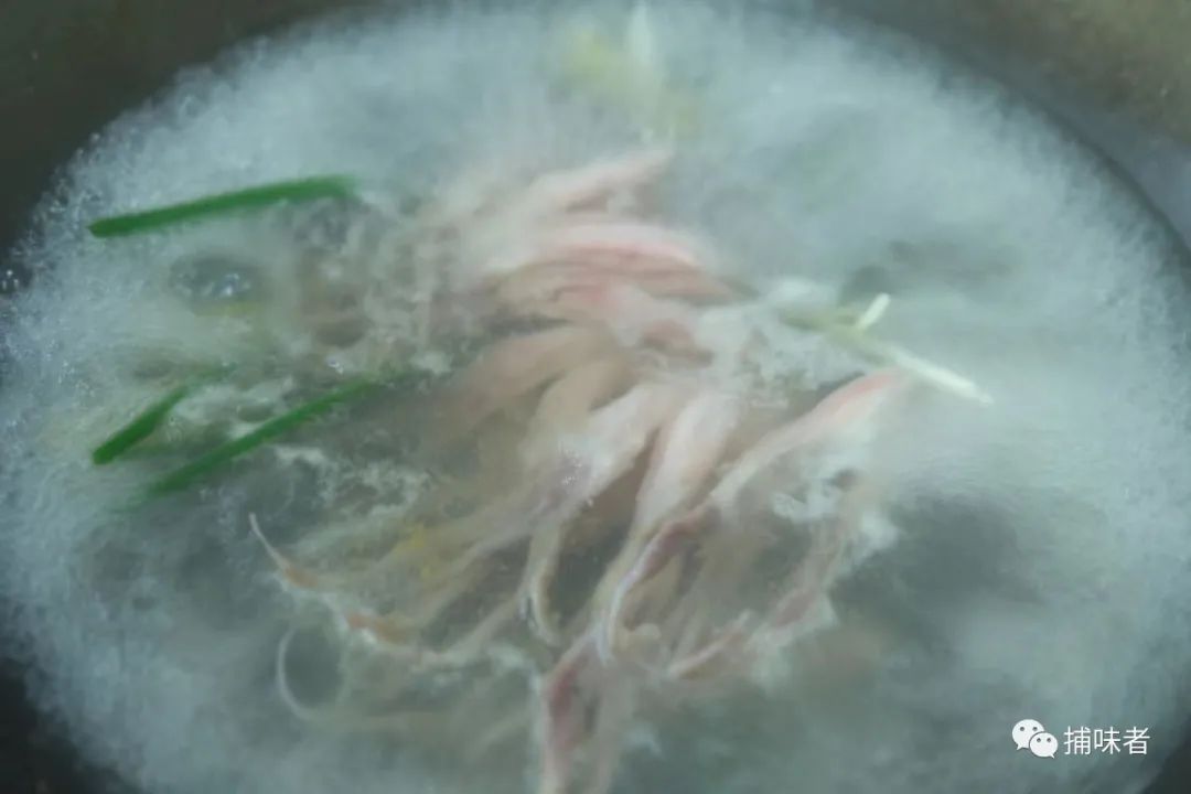 夏日鸭舌冻（软文版）