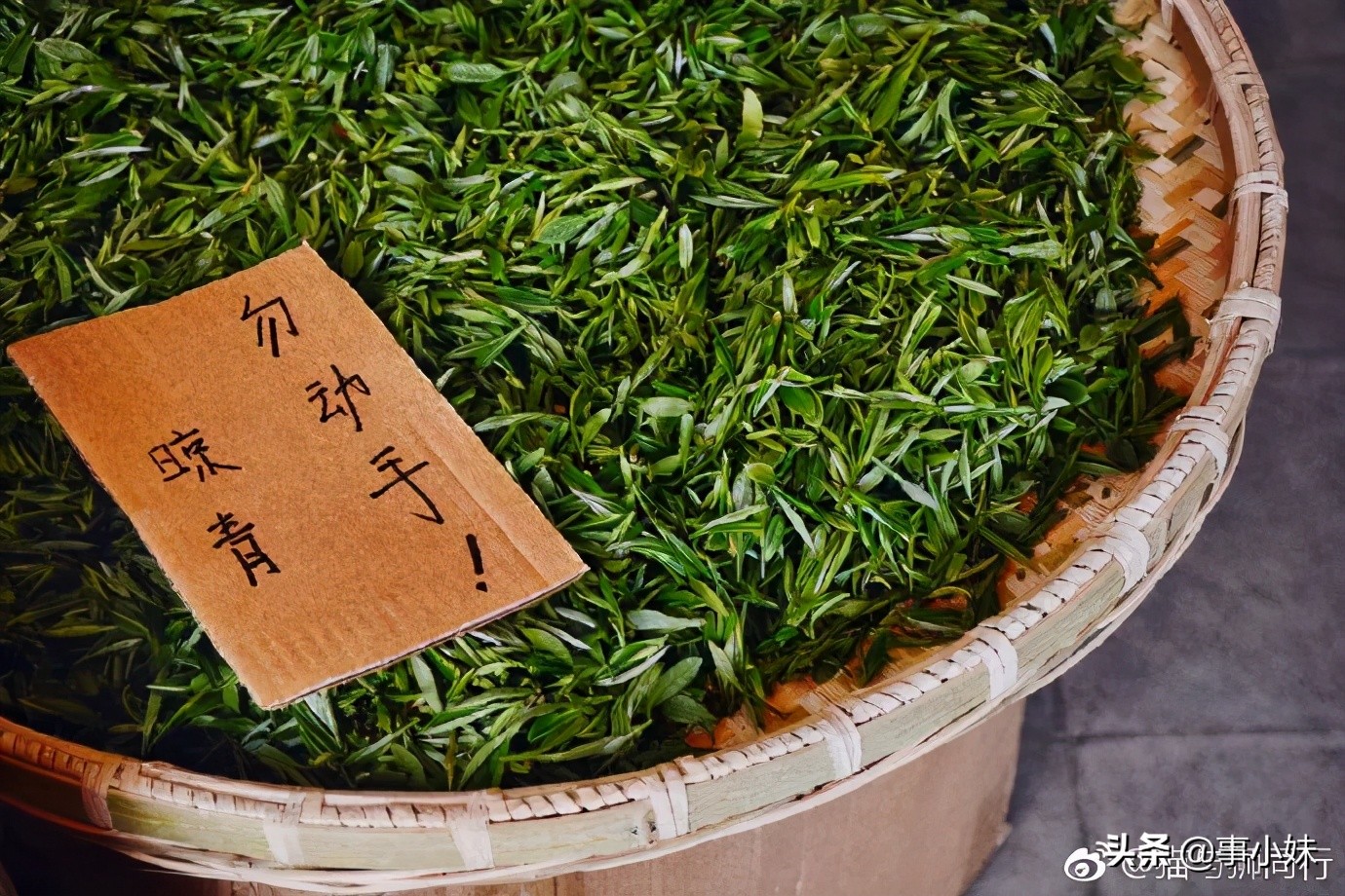 南京是什么味的,南京以什么口味为主