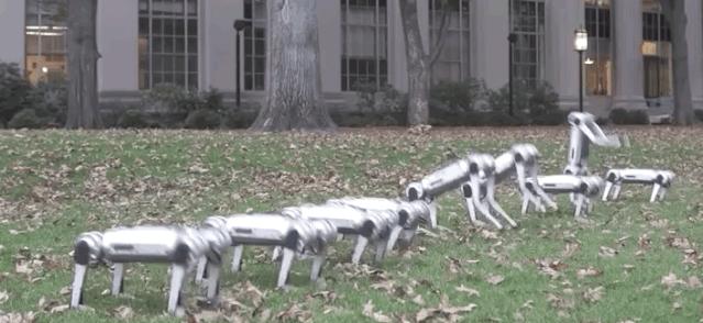 一群机械狗的球技展示，未来科技