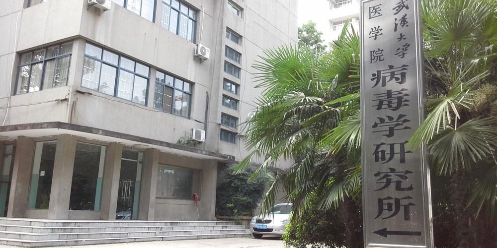 武大中南医院和武大人民医院,武大中南医院和武大口腔