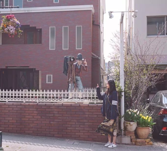 日本的樱花又开了哦,日本樱花又开了是什么梗