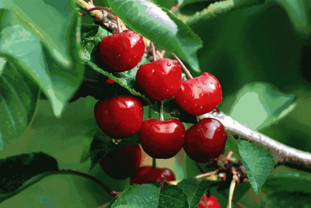 前方高能预警,前方高能预警有多高能