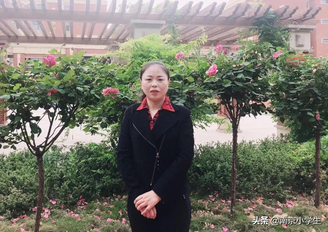 南京上初中入学条件,南京十所最好的中学