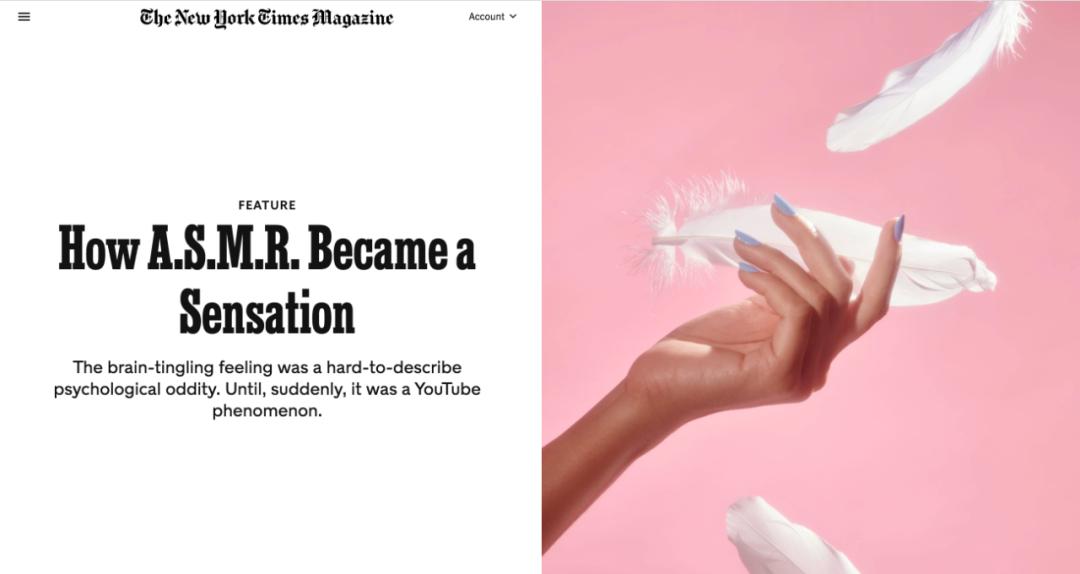 自从睡前迷上ASMR撸猪,焦虑失眠就再也追不上我