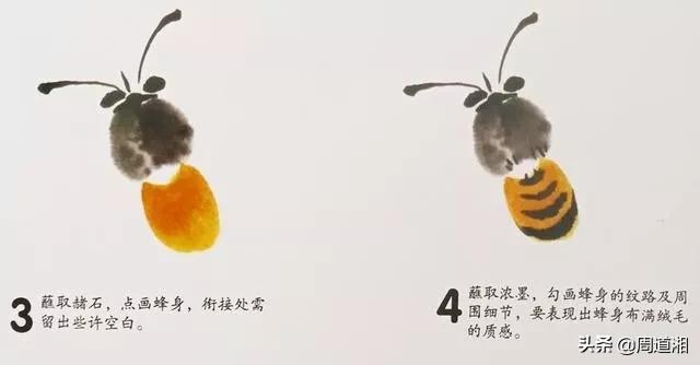 小蜜蜂怎么画最简单的方法,画小蜜蜂的教程一步一步的来