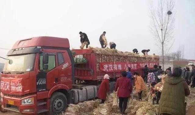 疫情过后你最忍受不了的事 (疫情期间你熬住了吗)