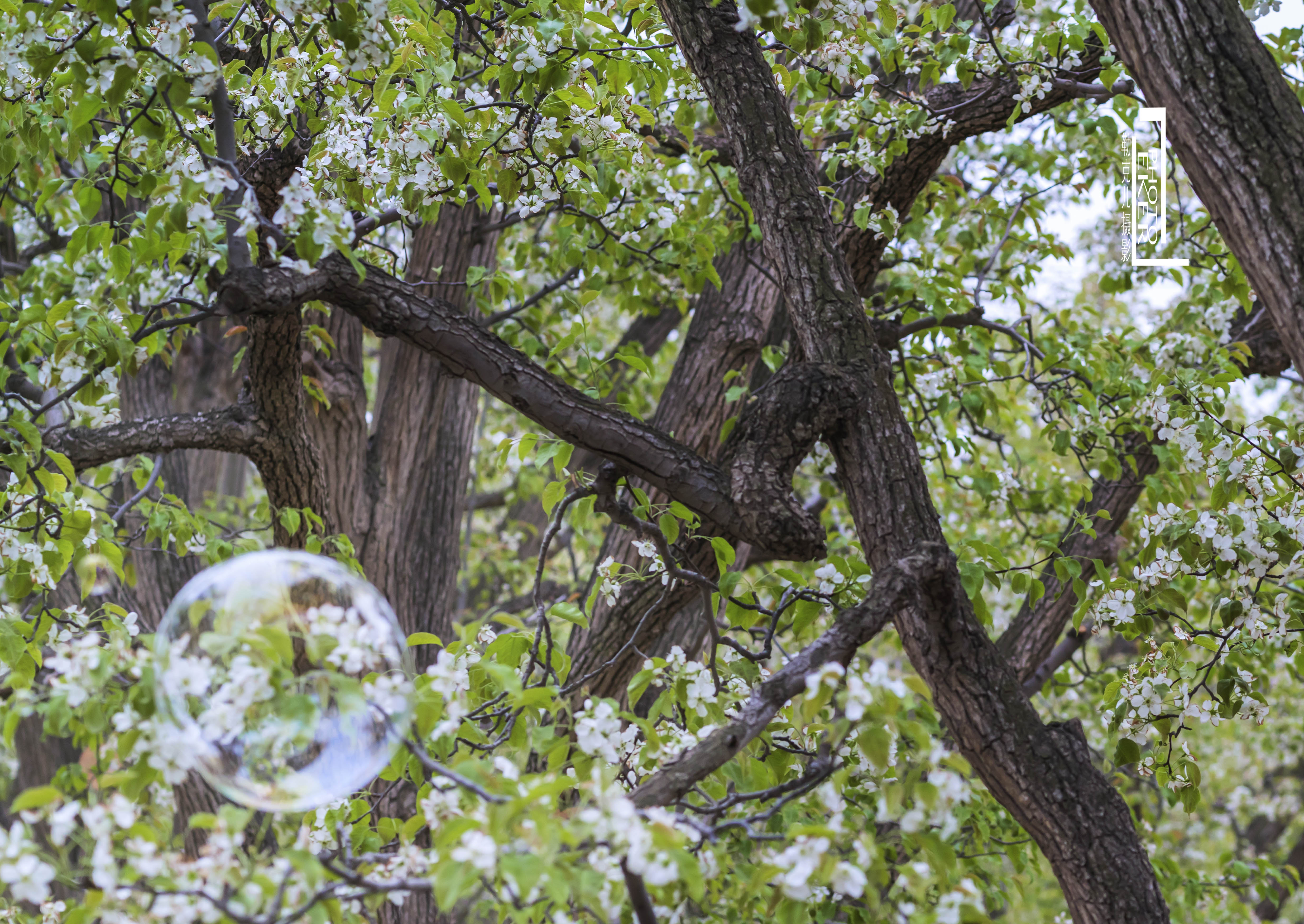 大西北戈壁滩怎么形成的,我国西北地区大戈壁滩形成原因