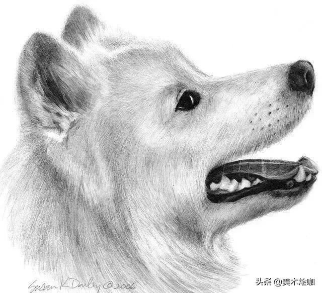6-12岁儿童素描课程画动物,素描动物教程简单8-12岁