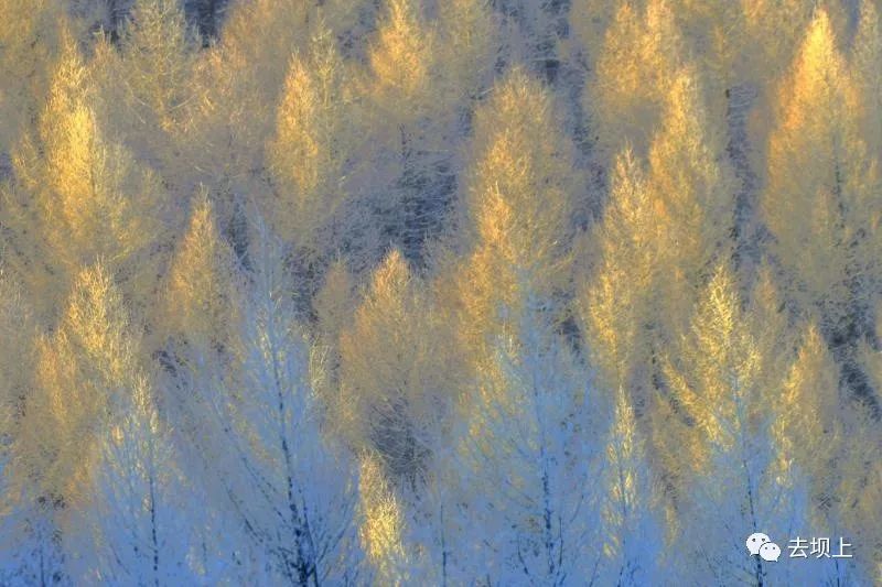 坝上摄影攻略,坝上夏季摄影