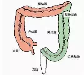 防癌筛查攻略,防癌筛查后注意事项