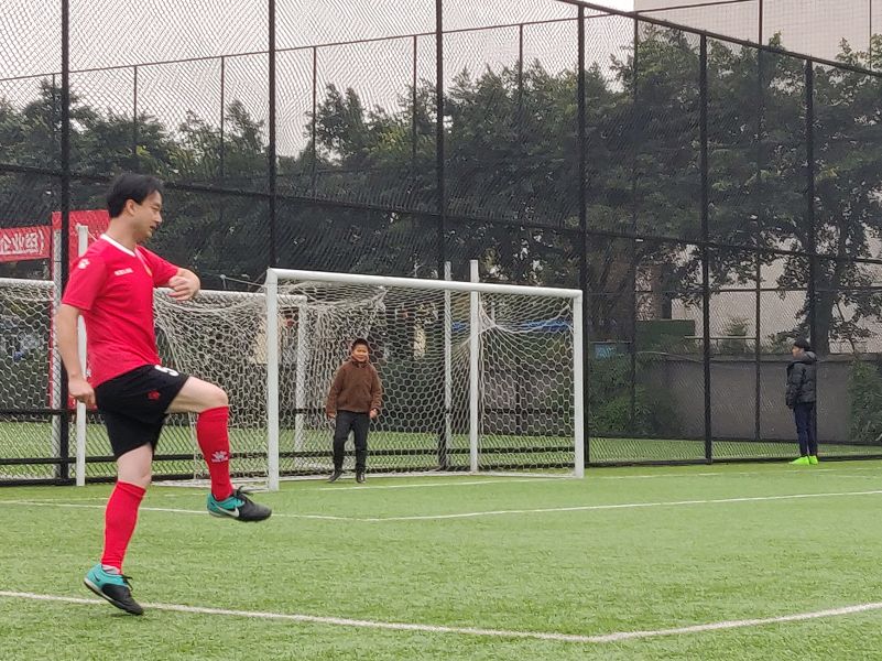 成都文旅熊猫馆直播,成都文旅官方直播