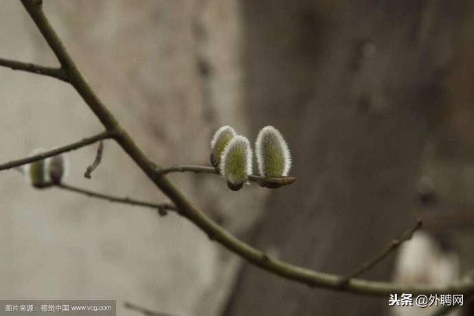 打工度假一年能赚多少钱,打工度假要多少钱