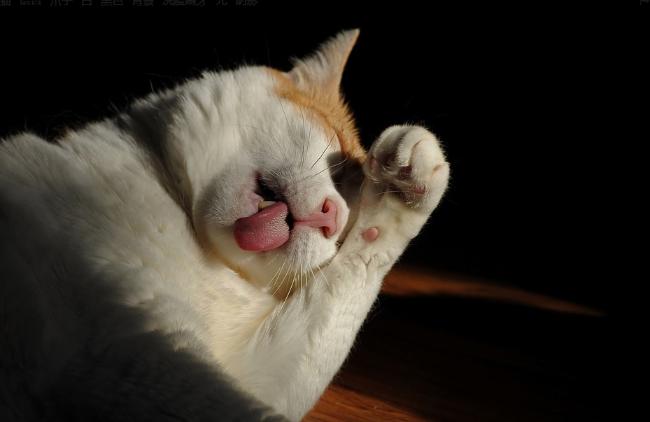 大冬天的，真的要用冷水洗脸吗？丨蝌谚More