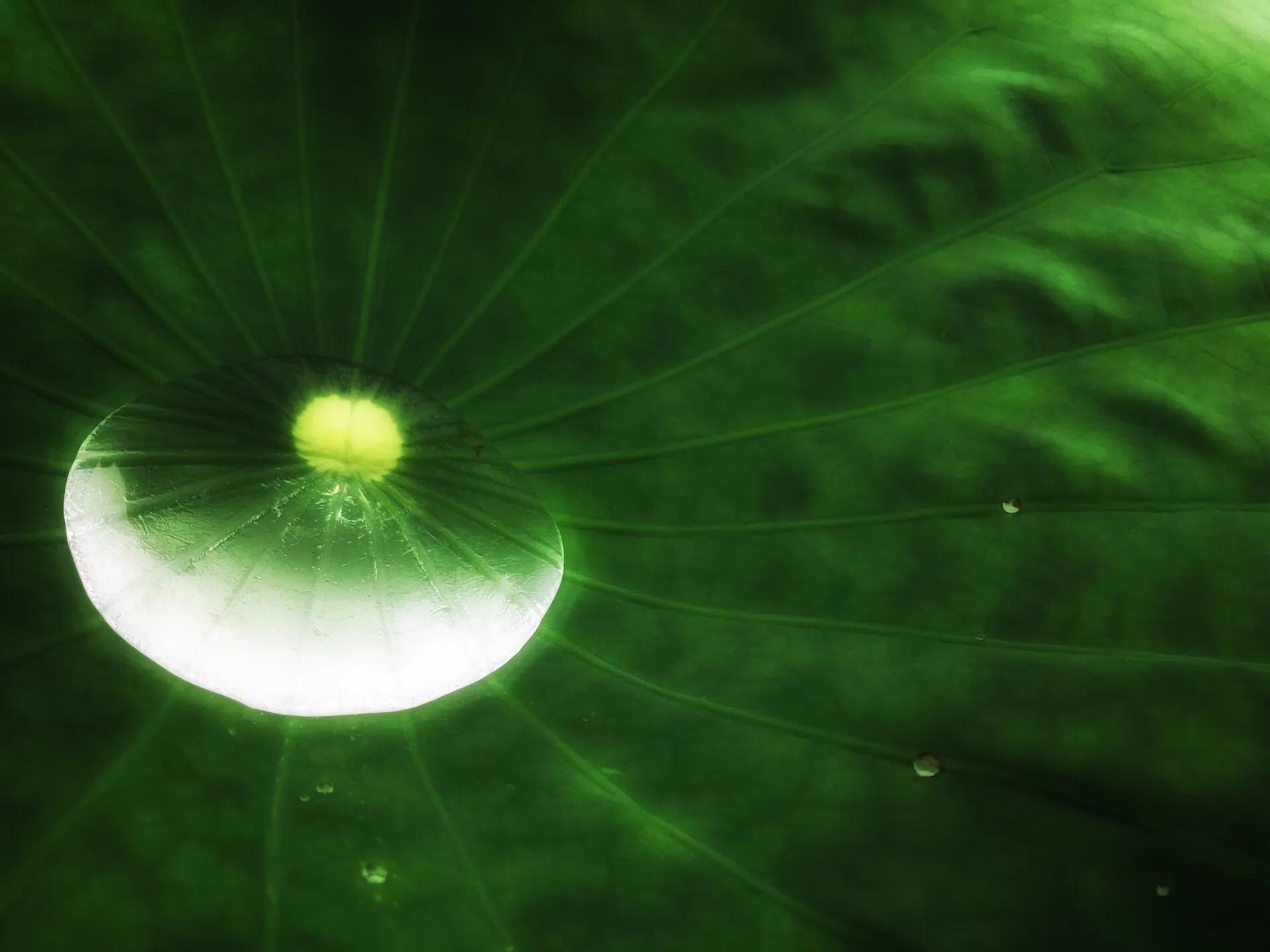 打坐静心的核心要领,怎样正确打坐修炼功法