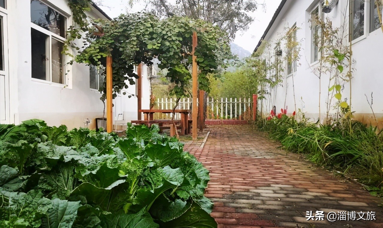 山东淄博田庄德禄民宿,淄博半山杏舍山居民宿