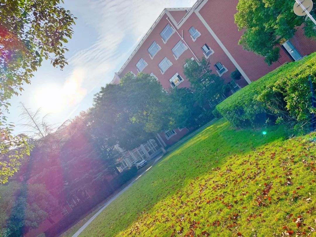 【秋色】一起逛青浦的校园,在书香中邂逅最美的秋