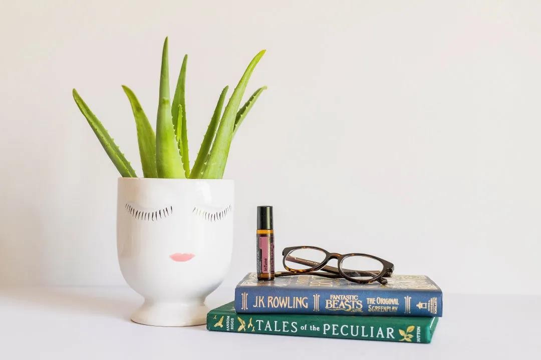 多特瑞出门旅游必备精油,多特瑞最值得购买的精油