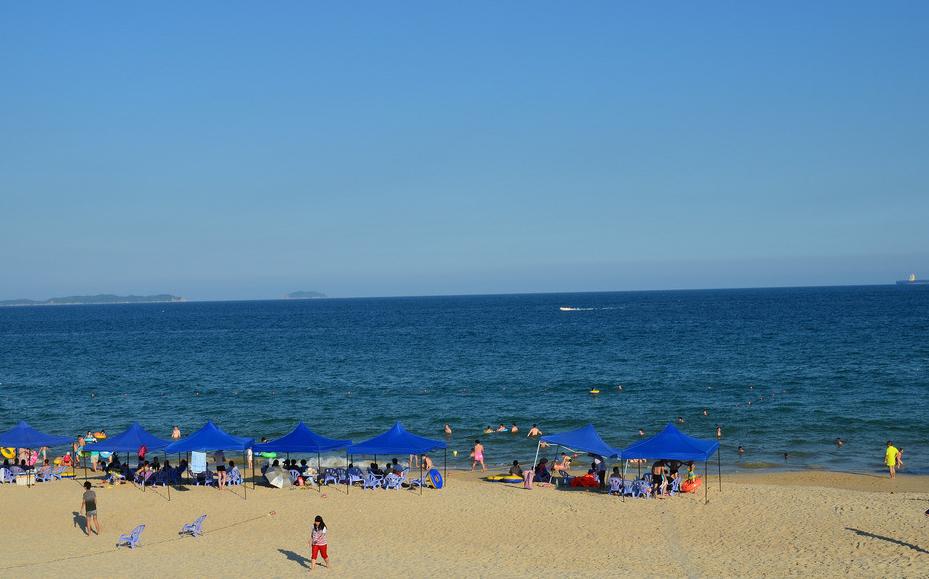 深圳自驾八大必去免费景点,深圳一日游必去十大网红景点