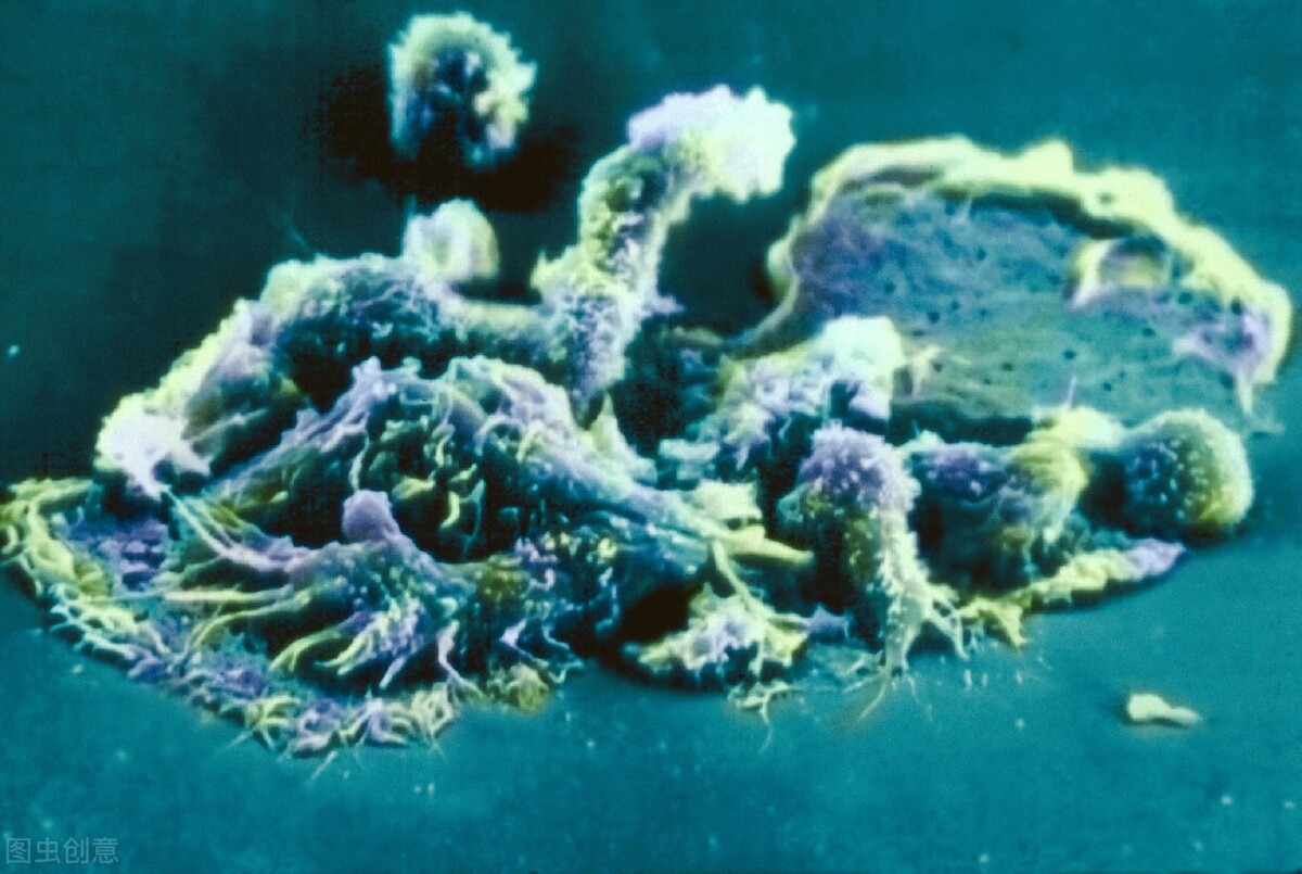 治疗效果分级标准,医生初步判断准确率是多少