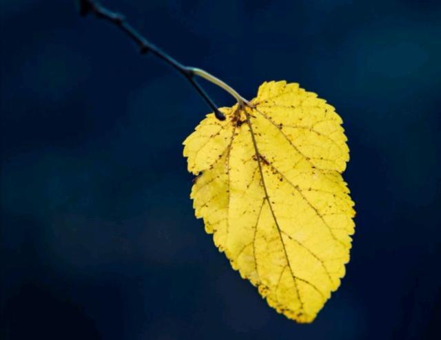 看透人心心酸的说说道尽人性冷暖,看透人心醒悟的句子说说