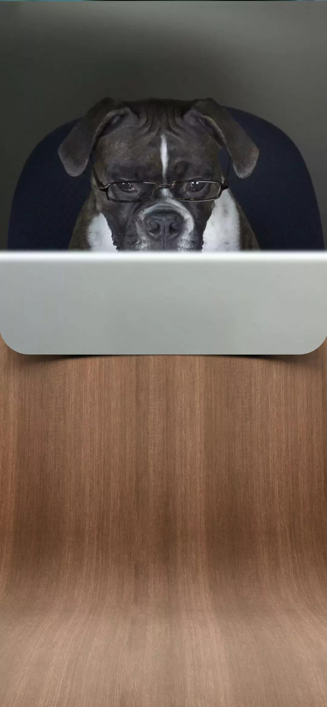 高清壁纸全屏无水印原图,iphonexsmax壁纸原图高清无水印