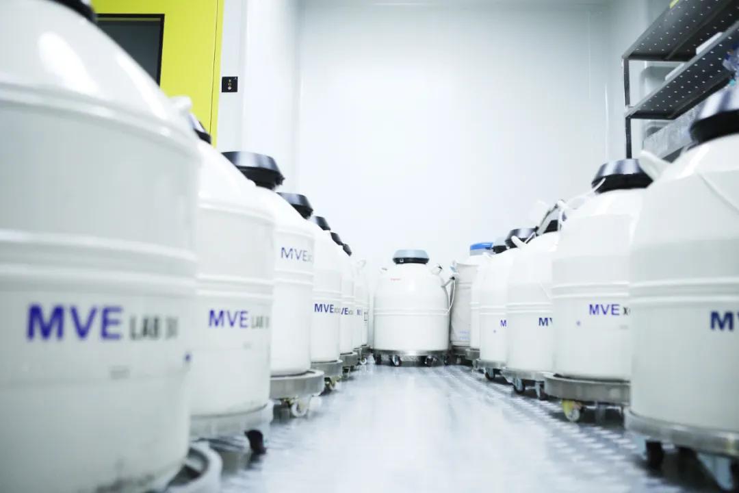 「喜报」河北省首例单精子冷冻患者成功升级为“准爸爸”