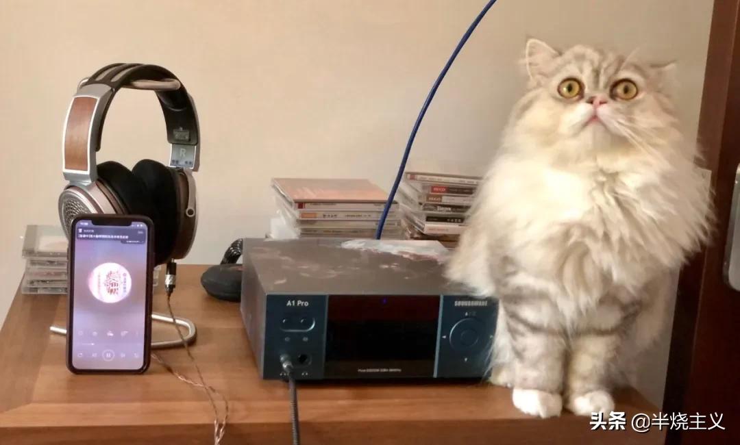 华晨宇天籁之战玉置浩二,华晨宇模仿米津玄师高音