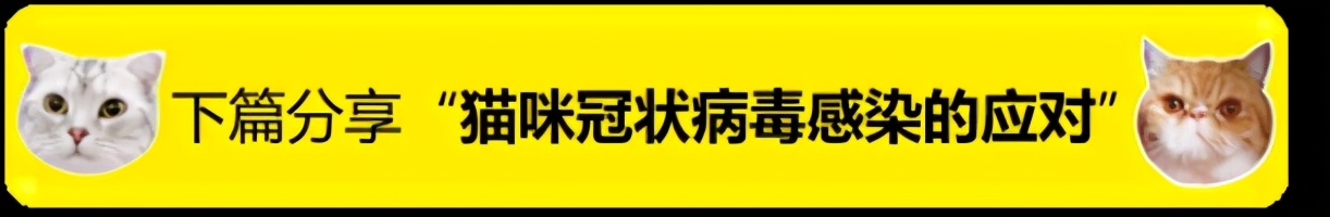 如何在家给狗狗测血糖,如何在家给狗狗接生