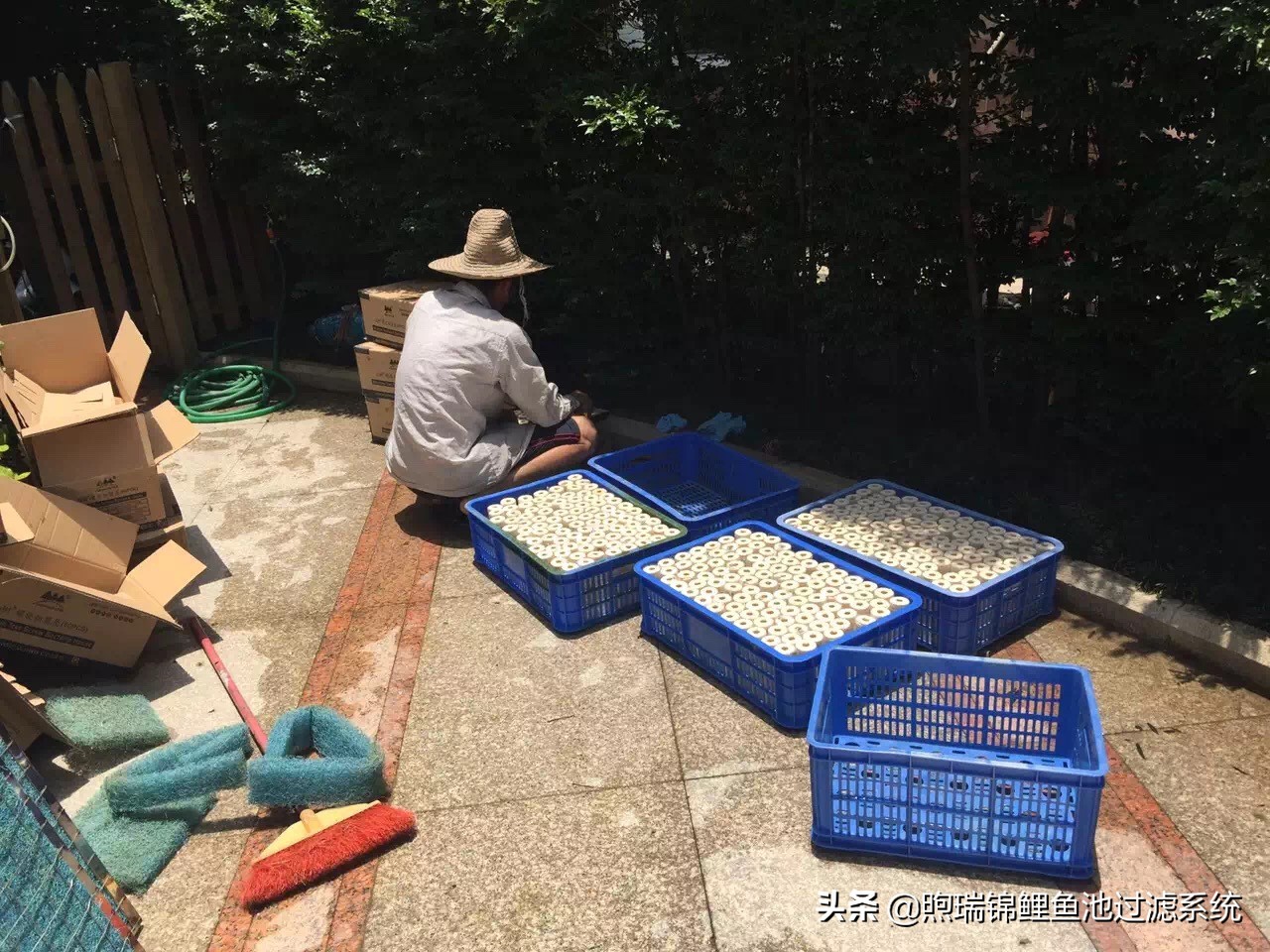 锦鲤鱼池清洗过滤的正确方法,清洗锦鲤池滤材