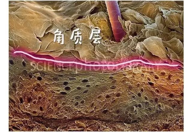 用了眼精华眼睛周围热热的,用了一个月的精华皮肤越来越好了