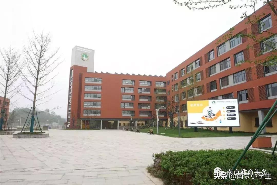 仙外燕子矶校区,仙外燕子矶校区入学条件