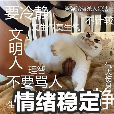 瘦腿霜会有用吗,瘦腿霜有用吗会反弹吗