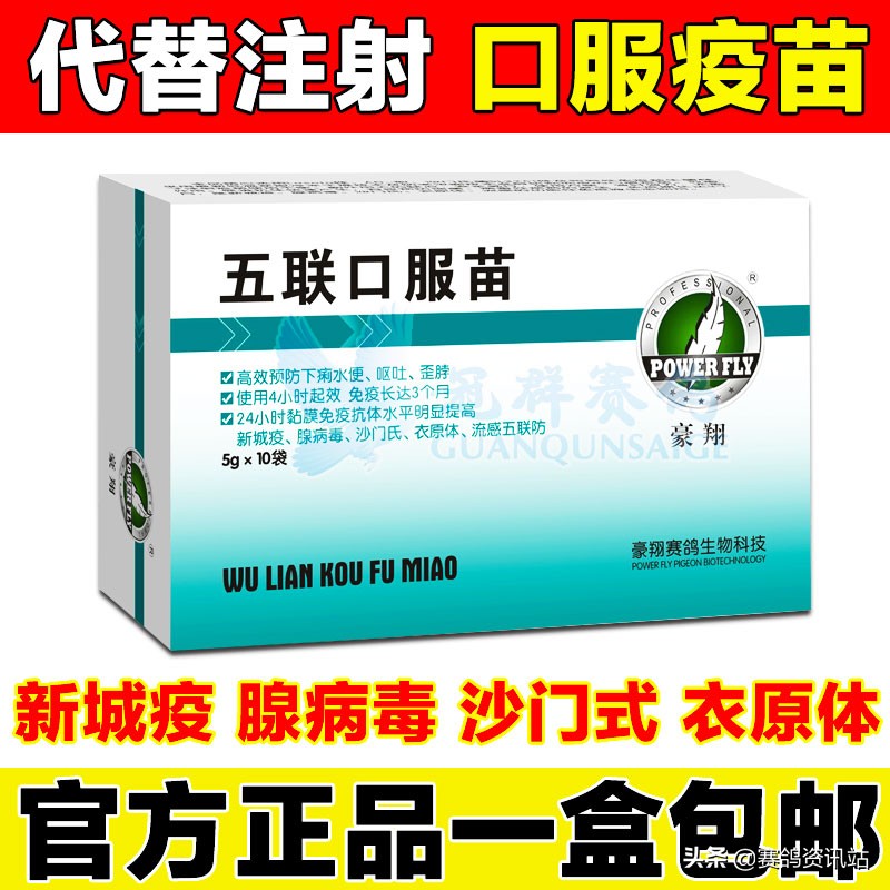 种鸽配对加速的小技巧