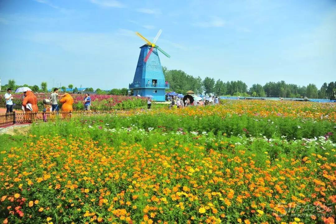 【春游庐江攻略】春暖花开庐江邀您共赴一场灼灼芳华之旅!