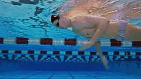 游泳怎么练出肱三头肌,游泳时肱二头肌和肱三头肌的变化