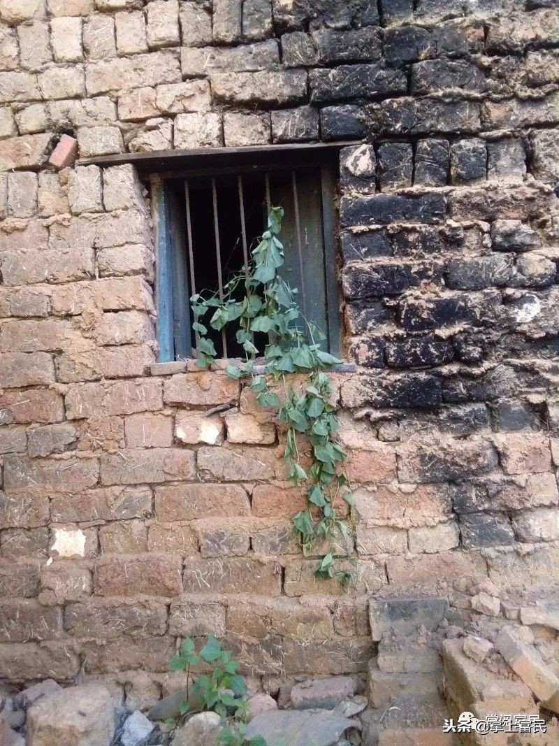 家乡是我们成长的沃土,家乡是生养我们的地方