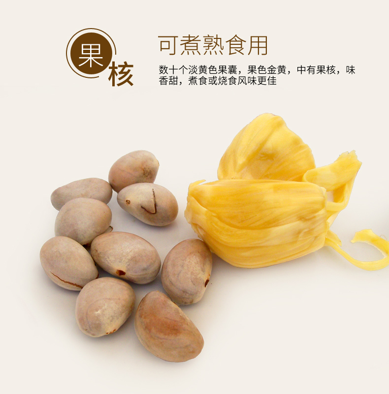 菠萝蜜不知道熟没熟从哪里开始切,你不知道的菠萝蜜图片