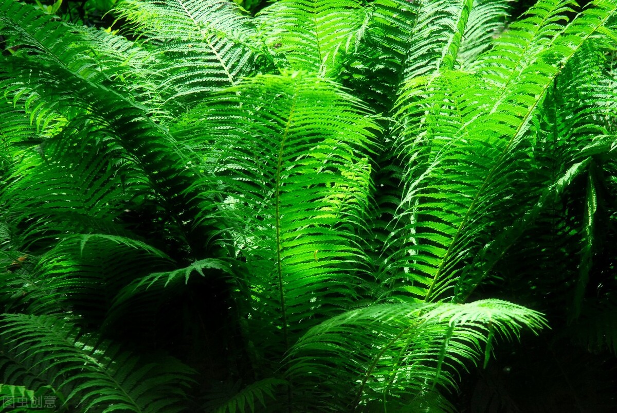 一本书改变了我的命运,一本书改变认知