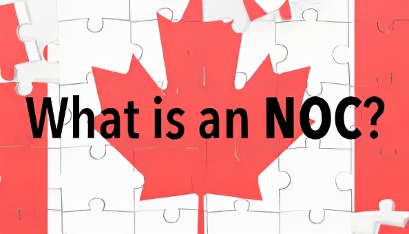 重磅！加拿大职业分类系统将进行改革！多类移民申请人将受到影响