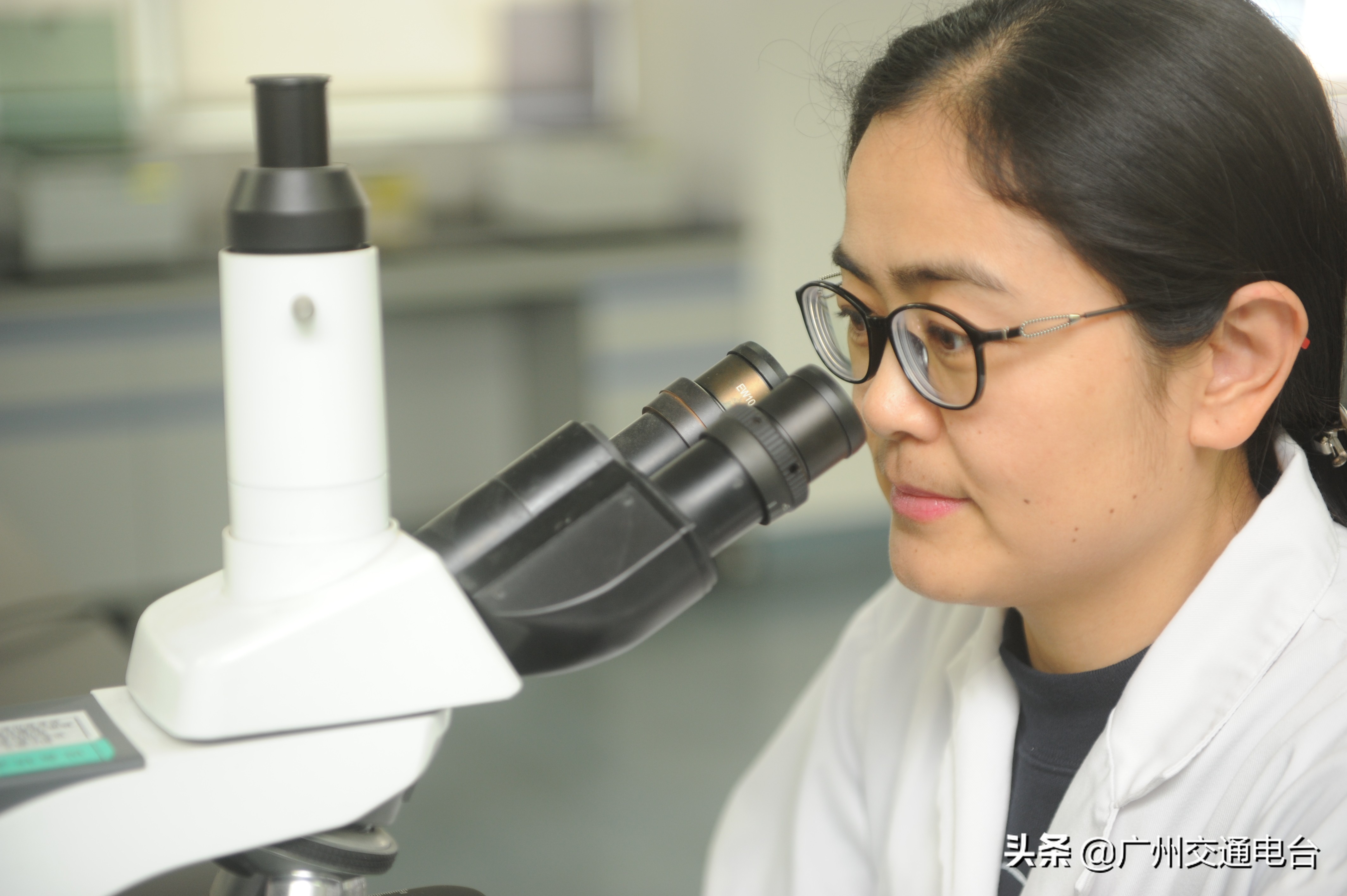 广州筛查到罕见Di,b-血型并输注为国内报道第10例