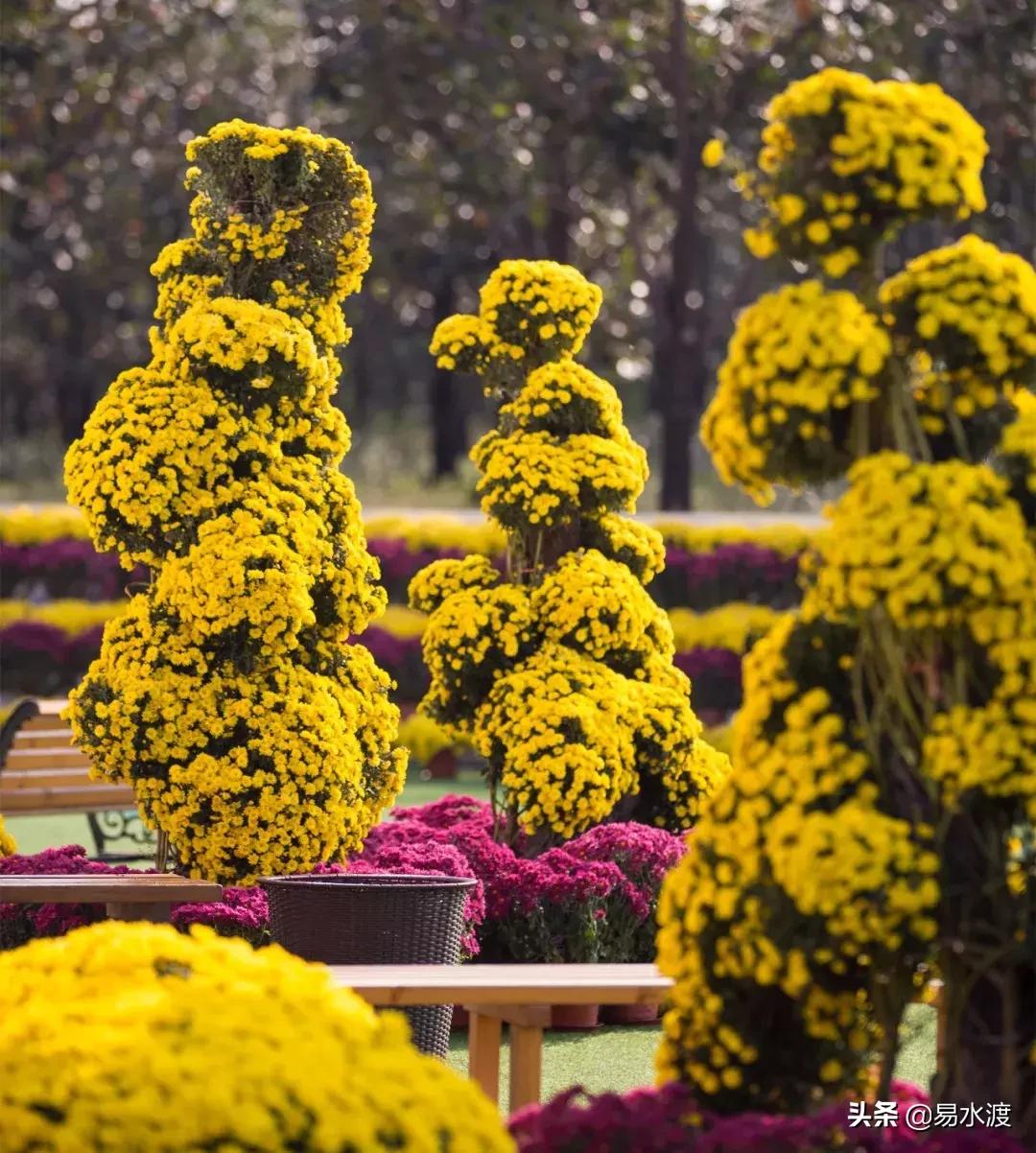 岁月安好,时光静好!愿在易县,与你共赴终老!