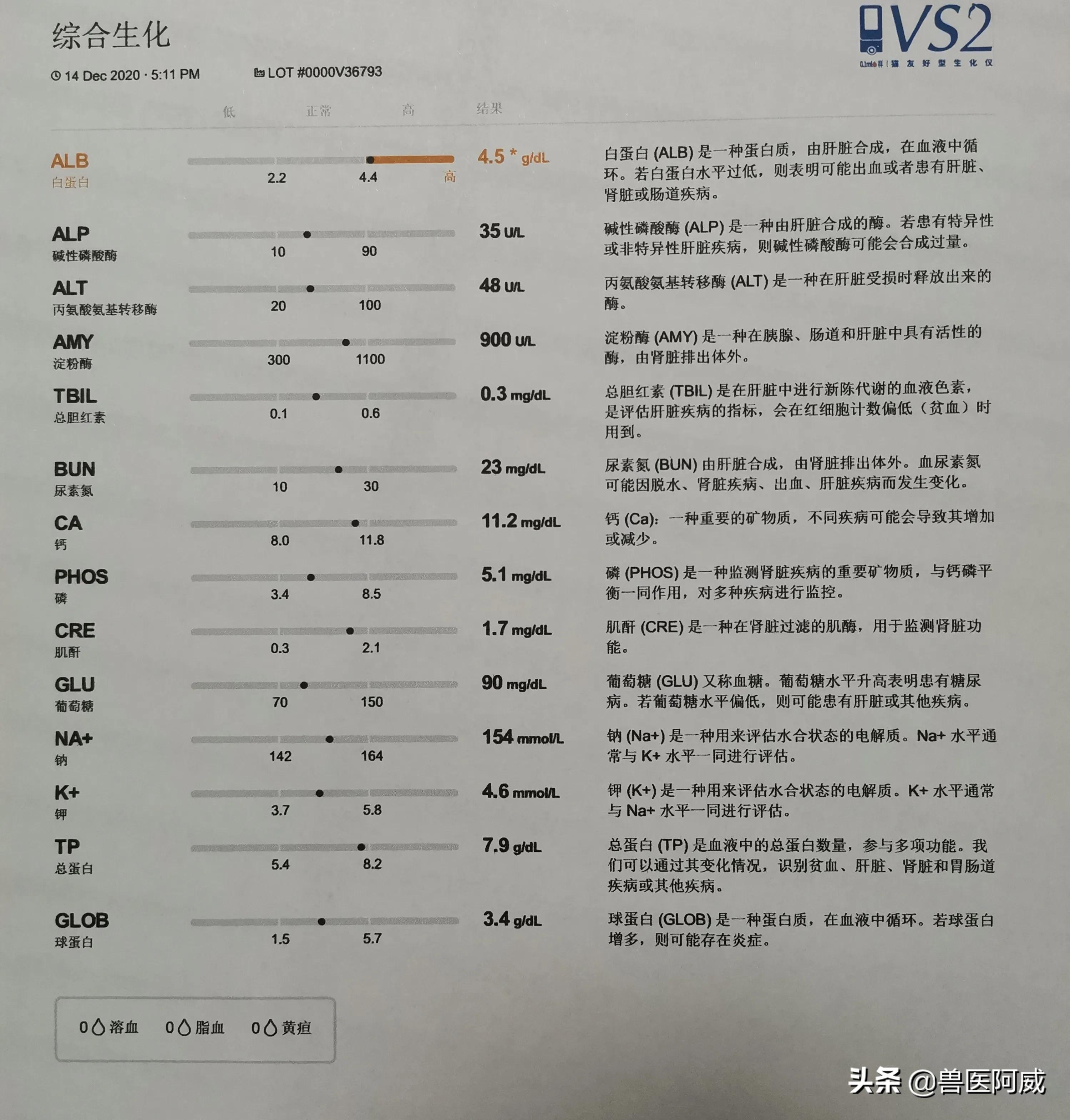 猫瘟和疱疹病毒交叉感染,猫瘟感染幼猫