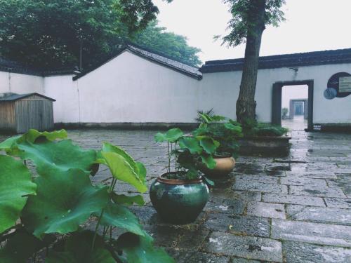 杭州免费的旅游景点攻略,杭州旅游攻略必去免费景点大全