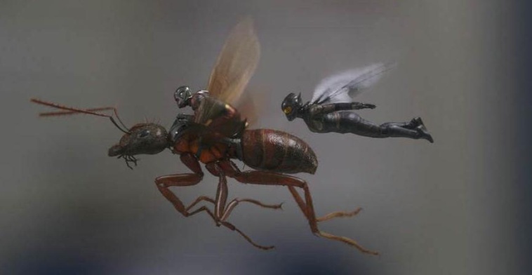 2018年热门电影总结,2018年终总结电影