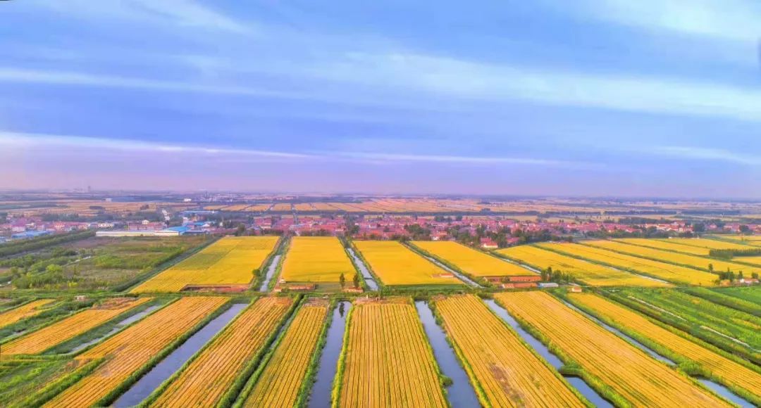 山东百强县2021年排名,山东2021百强县排名榜