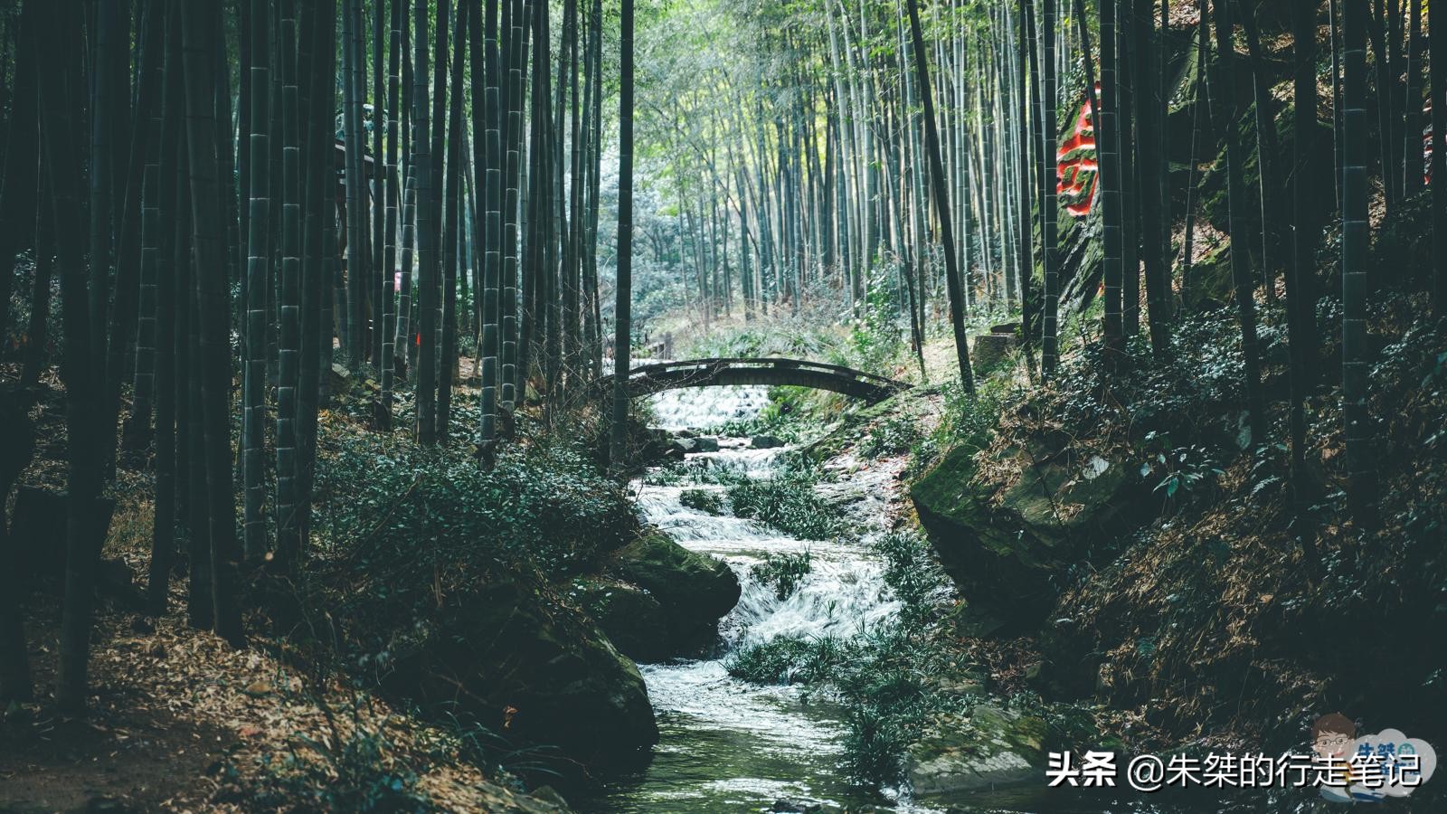 全国有名竹海,华东第一竹海的宜兴