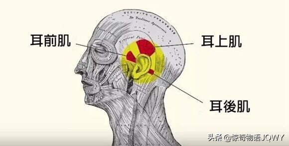 那些神奇的特异功能,令人震惊的特异功能