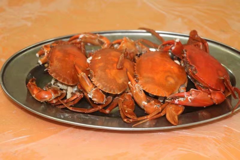 执子之手与子偕老在三亚哪个景区,三亚天涯海角执子之手与子偕老