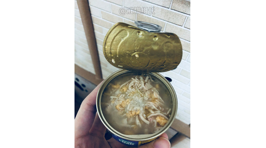 k9幼猫罐头推荐,k9巅峰猫粮