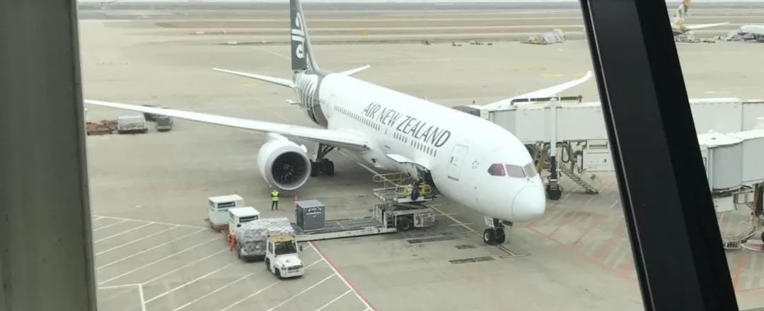 新西兰旅游必备大牌礼物,新西兰旅行攻略完整详细版